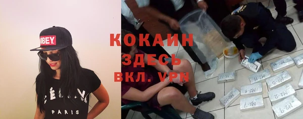соль ск Горно-Алтайск