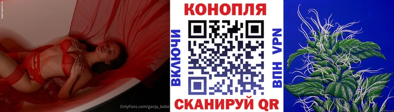Бошки Шишки семена  Купить закладки  Пласт 